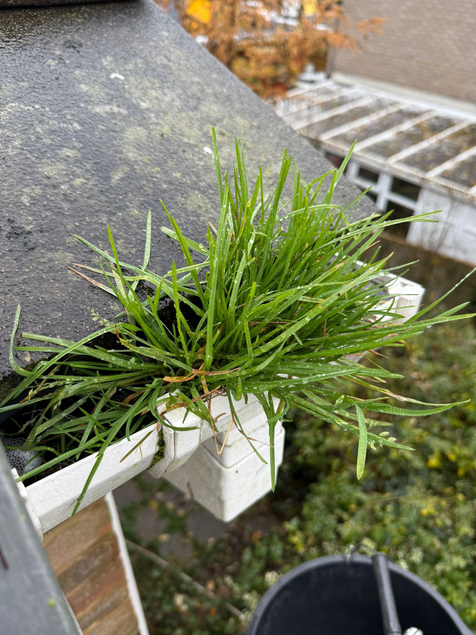 Blocked gutter downpipe in Hertford
