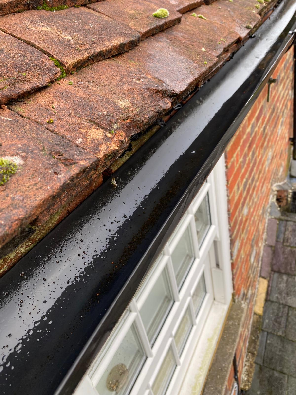 gutter cleared  - Cole Green Gutter Clearance is the solution!